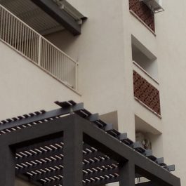 צביעת קיר פרדס חנה